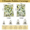 FANTIAN 5 lbs Green River Rocks for Plants, 2-3 Inch