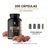 Hongo Reishi Vitaminas 200 Cáps Antioxidante Antiinflamatorio B Life