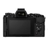 和湘堂 Olympus om-d e-m5 mark2デジタルカメラ専用 液晶画面保護シール 「503-0029L」