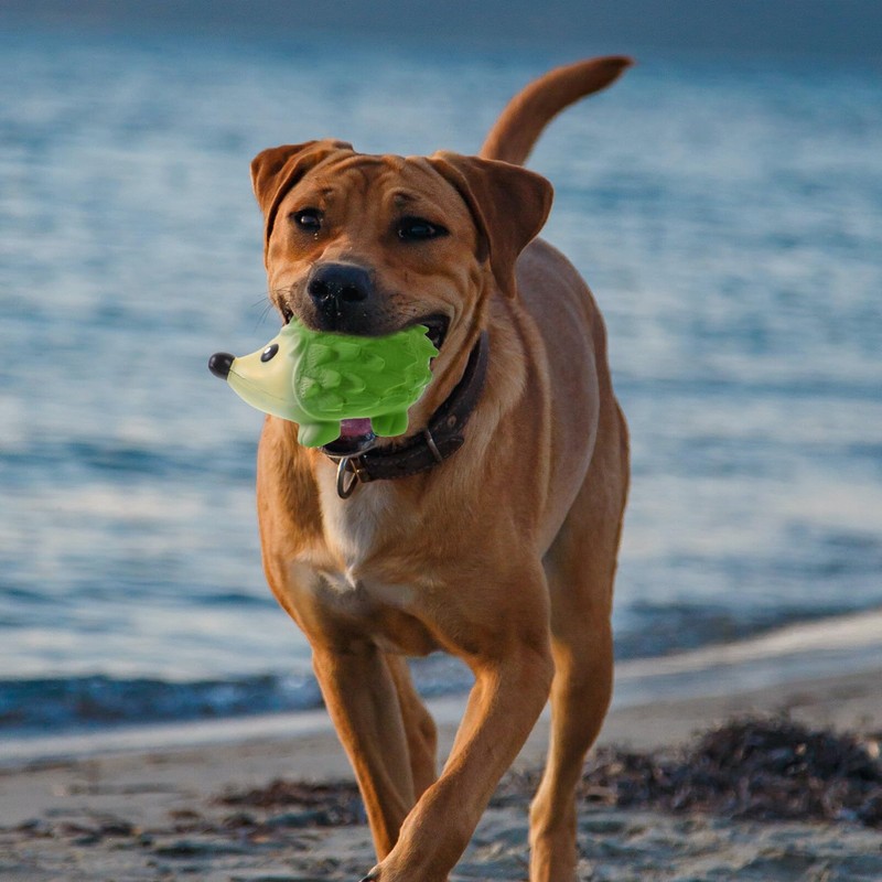 POPETPOP Hedgehog Squeaky Dog Toy, Soft Latex Chew Toy Cute