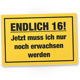 DankeDir! Endlich Sechzehn - Schild 30 x 20 cm - Geburtstagsdeko Geburtstagskarte Partydeko 16 Jahre Geschenkidee 16er - Geschenk Jungen & Mädchen Geburtstagsgeschenk 16. Geburtstag