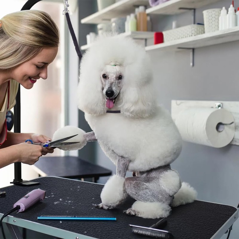 LEIBOU 36-inch Height Adjustable(23''~33.8'') and Foldable Pet Dog Grooming Table