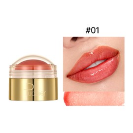 Tinted Lip Balm, Long Lasting Hydrating, Gloss Finish, Fade Lip Lines, Repair Dry and Cracked Lips (01)