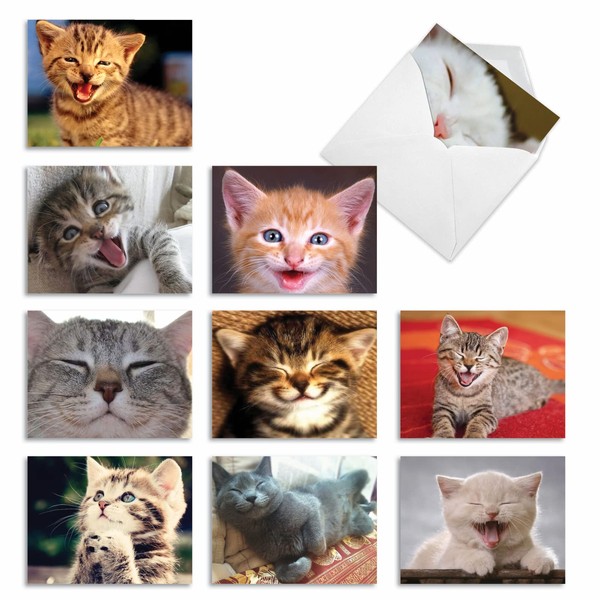 M6485OCB Smitten Kittens: 10 Assorted Blank All-Occasion Note Cards Featuring Adorable Cats and Kittens Putting on Their Biggest Smile, w/White Envelopes.