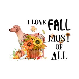 I Love Fall Most of All Classroom Wall Decoration Words Letter Stickers Dog Pet Pumpkin Harvest Peel and Stick Home Decals for Playroom Kids Room Family Furniture Vinyl