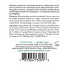 Mario Badescu Facial Spray Rosewater, Lavender Duo, 4 Fl Oz