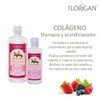 Restorative Antioxidant Collagen Shampoo Florigan® 1lt.
