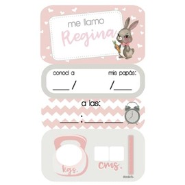 Colgante de niña para puerta de hospital y recámara del bebe con nombre personalizado: fecha de nacimiento, cuánto pesó y midió marca La Scrapería (Conejita 2)