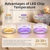 4 Pack Flea Traps for Inside Your Home,Dual Light Flea