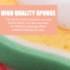 LAKJUOZ 4 Piece Bath Sponge Set Fruit Shape Kids Baby