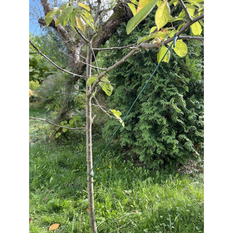 GARDENIX Bindeschlauch, Hohlschnur 3.9mm x 30m, Bindematerial zum Anbinden von