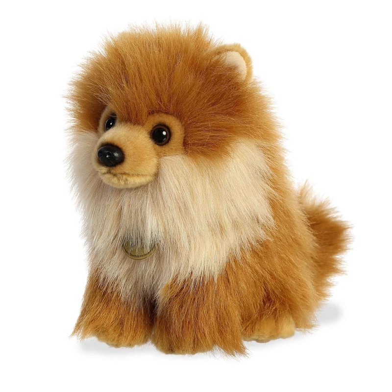 Aurora - Miyoni - Cachorro de Pomerania - 22.86cm.