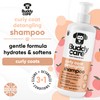 Curly Coat Dog Shampoo by Buddycare | with Aloe Vera