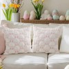 RABUSOFA Easter Pillow Covers 18x18 inch Set of 2 Easter