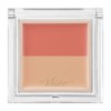 Visee Color Duo Trick Concealer 01 Red Trick (Natural Beige)