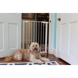 Cardinal Gates Extra Tall Auto-Lock Pressure Gate, White