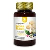 NATSA Hongo Melena De Leon Lions Mane 100 Cápsulas, Adaptógeno,