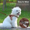 Gyuzh Dog Harness and Leash Set, Breathable Soft Mesh Vest