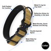 PLUTUS PET Collar Táctico para Perro, Reflectante, Collar para Perro