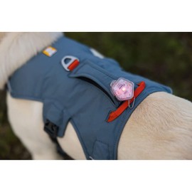 RUFFWEAR 1874137 Webmaster Harness (XXS, Red Smack) (RDSMC)