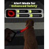 Xeuch Light Up Dog Leash, LED Pet Leash for Night