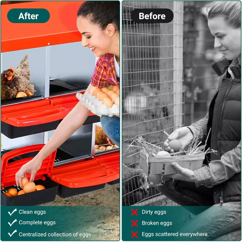 Nesting Boxes for Chickens, 6 Compartment Roll Away Nesting Box