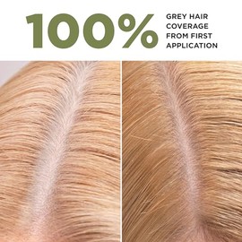 Lazartigue Permanent Haircolour 8.0 I Tinte Rubio claro I Sin amoníaco con extractos botánicos y alta concentración de pigmentos I Para todo tipo de c