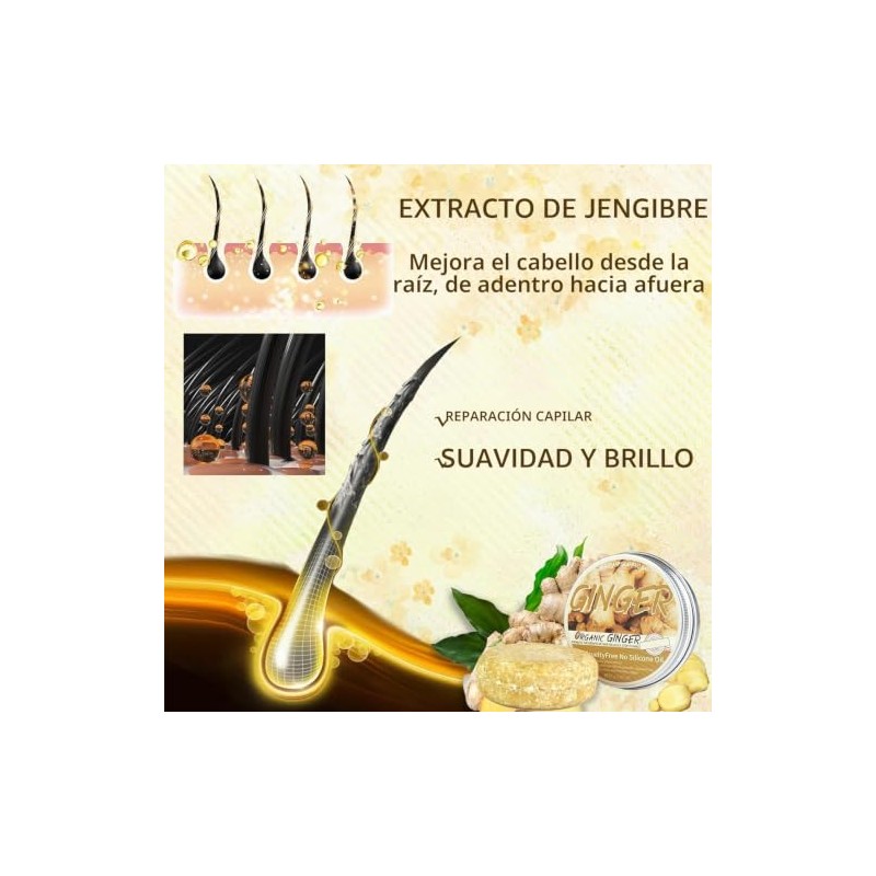 Champú Con Jengibre Para El Crecimiento Del Cabello