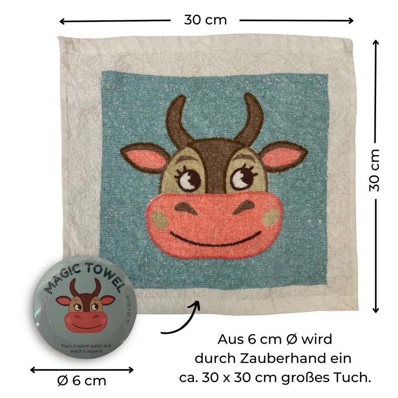 Bada Bing Magic Towel 30 x 30 Rudolph Reindeer 3 Designs Assorted Christmas