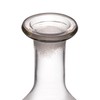 Creative Co-Op 20-Ounce Etched Glass Decanter with Giraffes and Glass