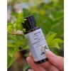 Yuanjae Houttuynia cordata cool down SOS ampoule unscented 26ml, 1