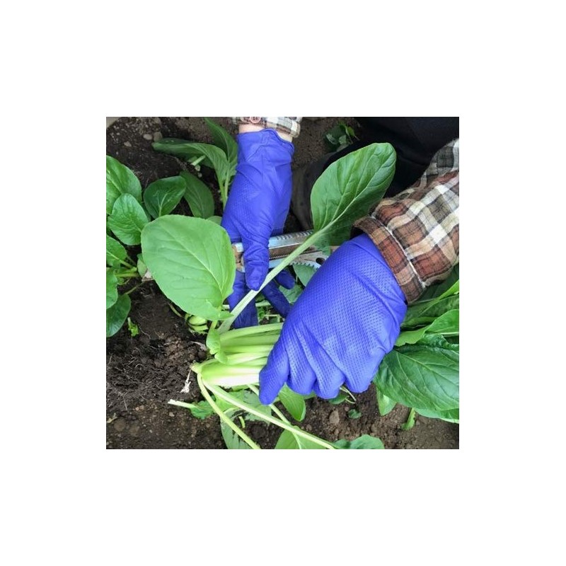 Nitrile Farming Thin Gloves SB-050 Blue L Pack of 50