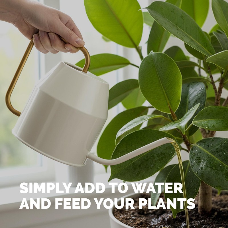 TPS NUTRIENTS Ficus Tree Fertilizer for All Ficus, Fig and