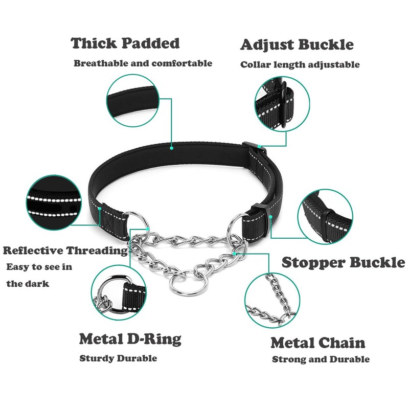 Martingale Dog Collar with Stainless Steel Chain, Adjustable Soft Padded