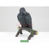 Raven - Collectible Figurine Statue Sculpture Figure Crow Bird Model