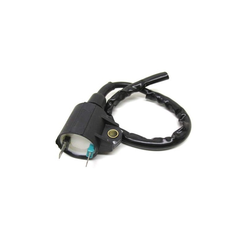 Streetparts 24 Motorcycle Ignition Coil Fits CPI Aragon Hussar Oliver