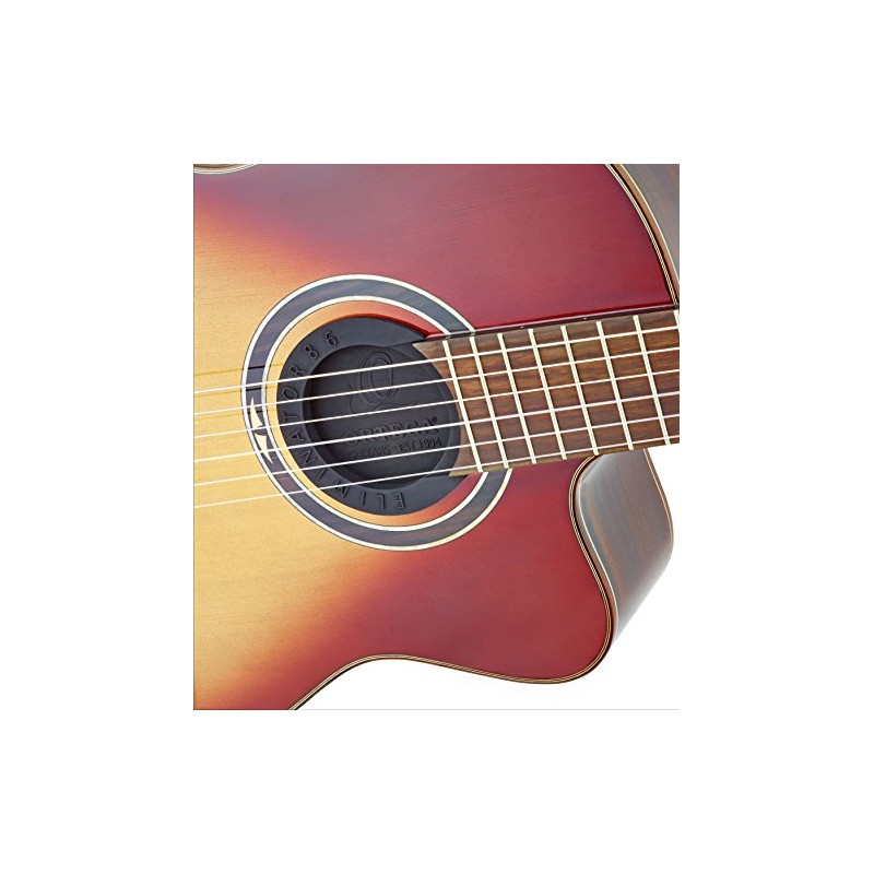 Ortega Guitars ELIMINATOR100 Feedback Eliminator