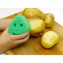 Ecoegg Eggsterminator Cleaning Sponge, Colours May Vary, 4