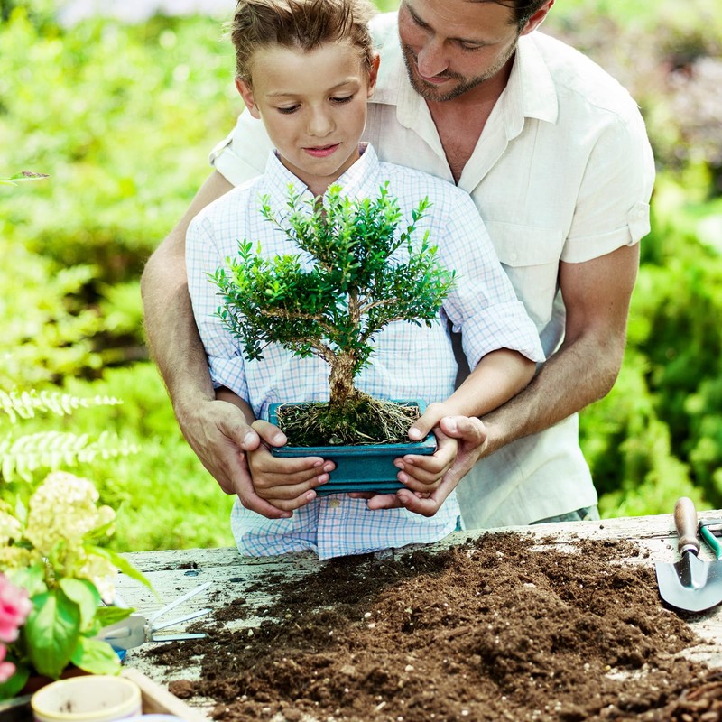 Doter Bonsai Soil Mix 2qt Ready to Use, Organic Bonsai