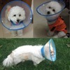 Bolbove Pet Plastic Clear Cone Recovery E-Collar with Dots Design