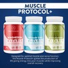 TRUE PROTOCOLS - Muscle Protocol+ (3 items) - Magnesium Balance,