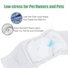 Wegreeco Jeans Washable Male Dog Diapers (Pack of 3) -