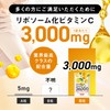 高濃度 リポソームビタミンC 3000mg配合 国内製造 サプリ 持続型ビタミンC 製薬会社との共同開発 GMP認定工場 ビタミンC 90粒