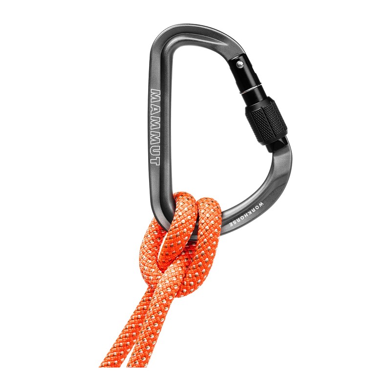 Mammut 2040-02560-1502 HMS Screw Gate Carabiner Gray 2.6 oz (75