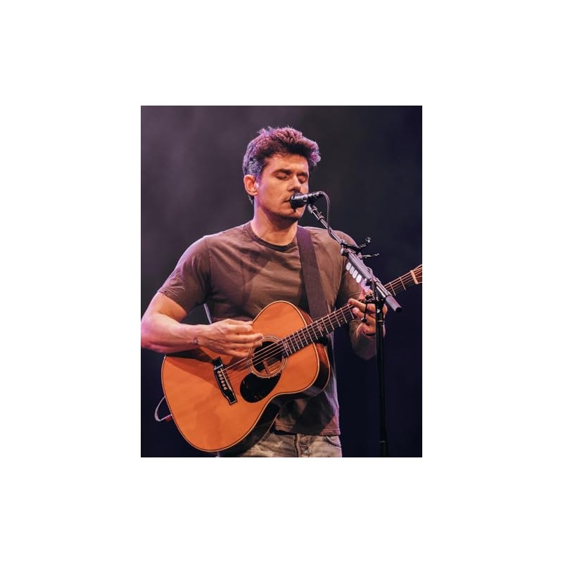 Ernie Ball Medium Light Earthwood Bell Bronze Acoustic Guitar Strings