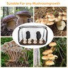 Luqixcey Mushroom Growing Still Air Box，35.8''×23.2''×22.8'', Portable Mushroom Grow Bags,