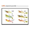 Viceo VCSBS4305 Worm Swimbait Shrimp Raw 4.3 Inch