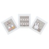 Skater (Skater) Napkin Towel, 3-Piece Set, Miffy OAC1T-A