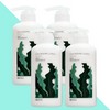 Cheongmijeong Kelp Natural Treatment 500mlX4 Box / 청미정 다시마 천연