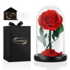 MAMAMIKO Forever Real Rose in a Glass Dome,Eternal Red Roses